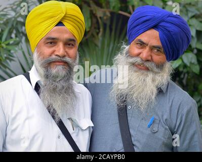 Due anziani sikh indiani con torbani colorati posano per la macchina fotografica. Foto Stock