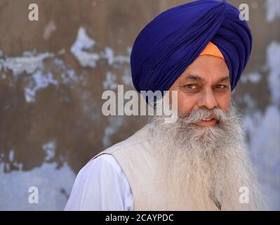 L'uomo anziano indiano Sikh con turbano blu Sikh (dastar) e barba bianca lunga pone per la fotocamera. Foto Stock