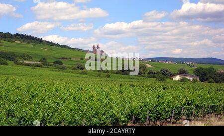 Vista dalla funivia di Rudesheim Foto Stock