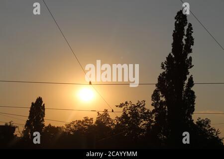 Crepuscolo - molto vicino alla fermata del tram di Ohrada a Praga, si può vedere un albero di pioppo accanto al sole che tramonta, una sfera così luminosa nel cielo. Foto Stock