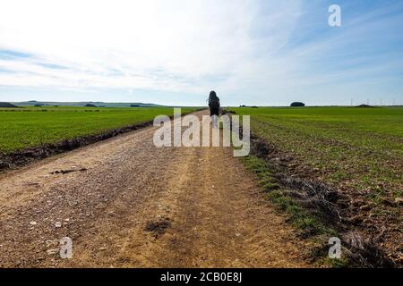 L'uomo cammina nei campi - la via francese di `Camino de Santiago` in inverno. Pellegrinaggi nel loro viaggio attraverso la Spagna. 2020 Foto Stock
