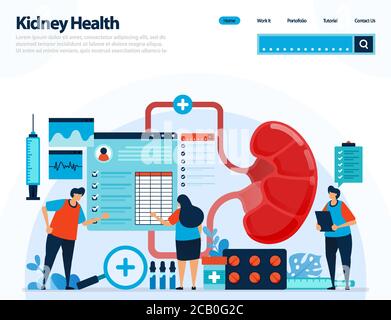 illustrazione per controllare la salute dei reni. malattie e disturbi del rene. controllo e manipolazione per organi interni. progettato per landing page, templ Illustrazione Vettoriale