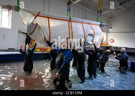 Il team Sea Life Trust alza il bianco della balena di Beluga dalla piscina durante il trasferimento dalla piscina per la cura del mare alla piscina per la cura del bayside, dove sarà acclimatato all'ambiente naturale della sua nuova casa presso il santuario di acqua aperta nella baia di Klettsvik in Islanda. Le due balene di Beluga, denominate Little Grey e Little White, sono state spostate nel primo santuario di balene all'aperto del mondo dopo essere state trasferite da un acquario in Cina a 6,000 miglia di distanza nel giugno 2019. Foto Stock