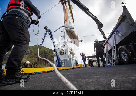 Il team del Sea Life Trust sposta il bianco di Beluga Whale Little White da un camion a un rimorchiatore durante il trasferimento alla piscina di cura bayside per l'acclimatazione all'ambiente naturale della loro nuova casa presso il santuario in mare aperto a Klettsvik Bay in Islanda. Le due balene di Beluga, denominate Little Grey e Little White, sono state spostate nel primo santuario di balene all'aperto del mondo dopo essere state trasferite da un acquario in Cina a 6,000 miglia di distanza nel giugno 2019. Foto Stock