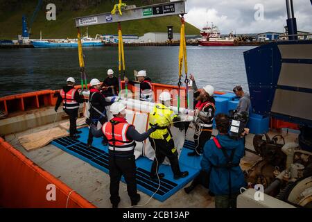 Il team del Sea Life Trust sposta il bianco di Beluga Whale Little White da un camion a un rimorchiatore durante il trasferimento alla piscina di cura bayside per l'acclimatazione all'ambiente naturale della loro nuova casa presso il santuario in mare aperto a Klettsvik Bay in Islanda. Le due balene di Beluga, denominate Little Grey e Little White, sono state spostate nel primo santuario di balene all'aperto del mondo dopo essere state trasferite da un acquario in Cina a 6,000 miglia di distanza nel giugno 2019. Foto Stock