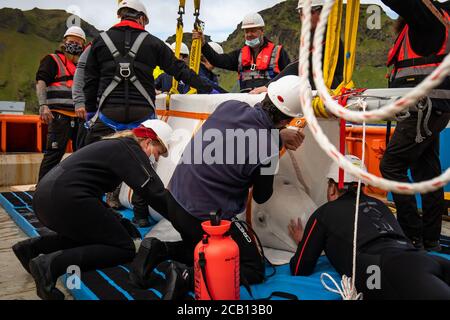 Il team Sea Life Trust sposta Beluga Whale Little Grey da un camion a un rimorchiatore durante il trasferimento alla piscina di cura bayside per l'acclimatazione all'ambiente naturale della loro nuova casa presso il santuario in mare aperto nella baia di Klettsvik in Islanda. Le due balene di Beluga, denominate Little Grey e Little White, sono state spostate nel primo santuario di balene all'aperto del mondo dopo essere state trasferite da un acquario in Cina a 6,000 miglia di distanza nel giugno 2019. Foto Stock