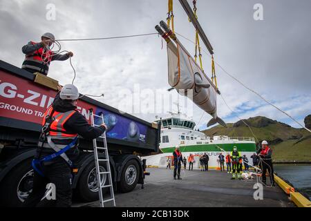 Il team Sea Life Trust sposta Beluga Whale Little Grey da un camion a un rimorchiatore durante il trasferimento alla piscina di cura bayside per l'acclimatazione all'ambiente naturale della loro nuova casa presso il santuario in mare aperto nella baia di Klettsvik in Islanda. Le due balene di Beluga, denominate Little Grey e Little White, sono state spostate nel primo santuario di balene all'aperto del mondo dopo essere state trasferite da un acquario in Cina a 6,000 miglia di distanza nel giugno 2019. Foto Stock