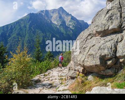 Donna turistica anziana escursioni al bellissimo sentiero natura sulle alte montagne tatra in slovacchia, estate soleggiato giorno Foto Stock