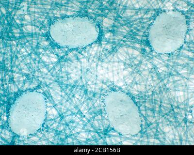 Strato esterno di maschera protettiva monouso sotto il microscopio, il campo visivo orizzontale è di circa 3 mm Foto Stock
