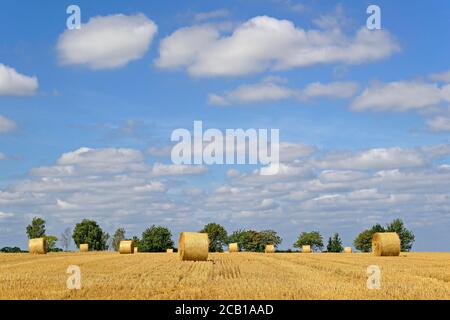 Campo di grano dopo raccolto, campo stoppia con balle di paglia rotonde, cielo azzurro nuvoloso, Renania settentrionale-Vestfalia, Germania Foto Stock