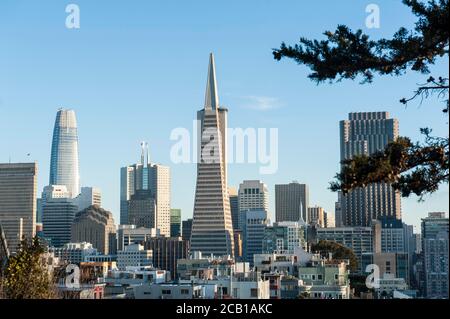 Vista della città da Telegraph Hill, quartiere finanziario con grattacieli Salesforce Tower sulla sinistra e Transamerica Pyramid al centro, San Foto Stock