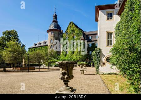 Castello medievale, Castello di Lubach, cresciuto con l'edera comune (Hedera Helix), residenza dei conti di Solms Lubach, Lubach, Assia, Germania Foto Stock