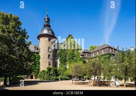 Castello medievale, Castello di Lubach, cresciuto con l'edera comune (Hedera Helix), residenza dei conti di Solms Lubach, Lubach, Assia, Germania Foto Stock