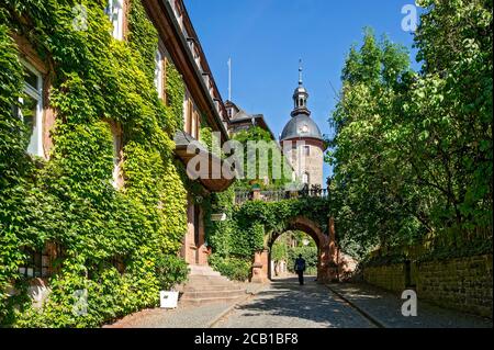 Porta al castello medievale, sopravivante comune (Hedera Helix), Castello di Lubach, residenza dei conti di Solms Lubach, Lubach, Assia Foto Stock