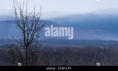 Panorama con cime innevate al tramonto e foresta senza foglie d'autunno. Cielo azzurro pallido con una tinta rosa. Sfondo naturale invernale. Bellissima onda di Foto Stock