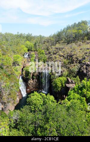 Vista verticale delle famose Cascate di Firenze, del Parco Nazionale di Litchfield, vicino a Darwin, Northern Territory, NT, Australia Foto Stock