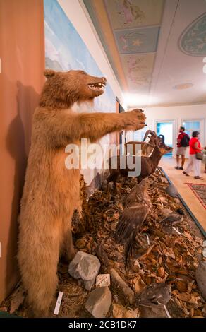 Museo di storia, Gabala City, Azerbaigian, Medio Oriente Foto Stock