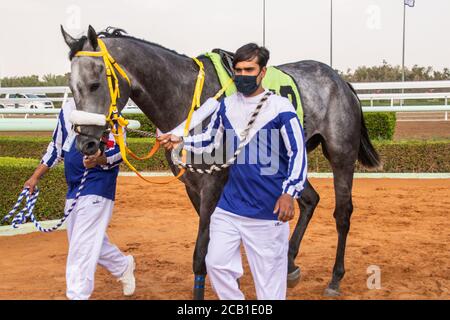 Corse di cavalli al King Khalid Racetrack 7/8/2020 Foto Stock