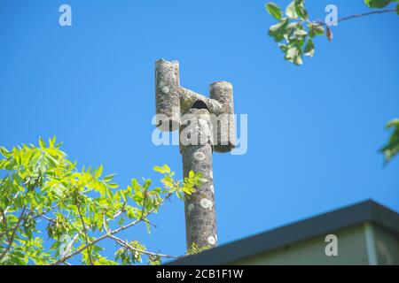 Vecchio tubo di camino stagionato fatto da amianto Foto Stock