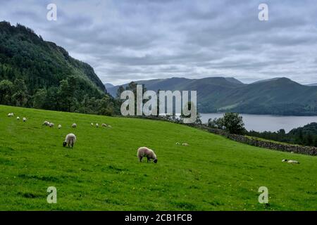 Distretto dei laghi Foto Stock