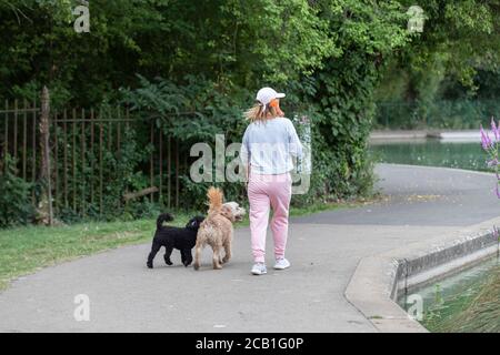 Northampton, Regno Unito. 10 agosto 2020. La gente fuori con i loro cani per la passeggiata mattutina mentre l'aria è ancora fresca come si riscalderà più tardi la mattina, Abington Park, Northampton, Inghilterra, Regno Unito. Credit: Keith J Smith/Alamy Live News Foto Stock