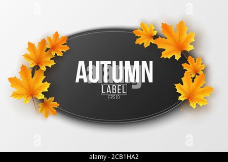 Etichetta stagionale autunnale con foglie d'acero autunnale. Modello festivo per la tua pubblicità di vendita. Biglietto d'auguri. Illustrazione vettoriale. EPS 10. Illustrazione Vettoriale