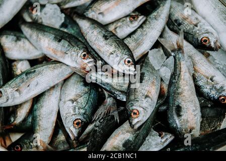 Diversi pesci di mare freschi sul ghiaccio in stallo del mercato. Vista dall'alto. Foto Stock