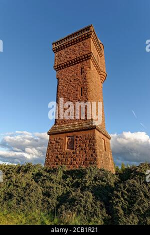 Il monumento Airlie si erge fuori dalle Gorse alla sua base sulla cima della collina di Tulloch a Glen Prosen, e illuminato dalla luce della sera quando il sole scende. Foto Stock