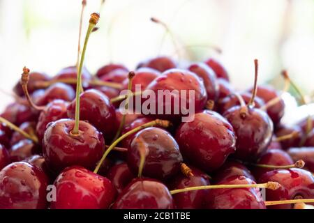 Ciliegie succose con gocce d'acqua, primo piano. Rosso ciliegio sfondo. Foto Stock