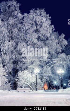 Inverno notte paesaggio - panca sotto gli alberi invernali in inverno parco notturno Foto Stock Inverno notte paesaggio - panca sotto gli alberi invernali in inverno parco notturno Foto Stock