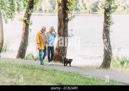 Fuoco selettivo di donna anziana sorridente che cammina vicino a marito e. cane pug al guinzaglio nel parco durante l'estate Foto Stock