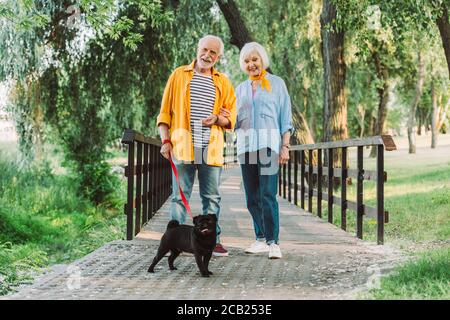 Fuoco selettivo della coppia anziana sorridente con il cane del pug sopra guinzaglio a piedi nel parco durante l'estate Foto Stock