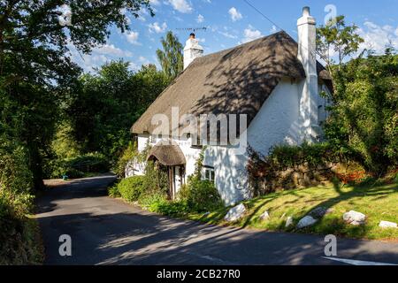 Dartmoor Cottage, Cottage, tetto di paglia, Devon, Inghilterra, scena rurale, bellezza, mais, cultura inglese, il passato, Villaggio, architettura, Awe, edificio, Foto Stock