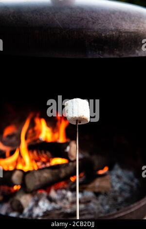 Persona che arrostire su fuoco fiamme un marshmallows sopra il fuoco di notte in una giornata estiva, per smores o snack Foto Stock