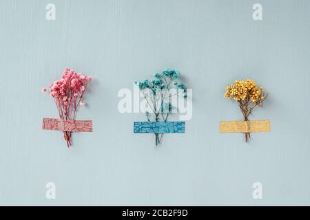 Tre fiori asciutti incollati con nastro multicolore su sfondo blu. Colori rosa, blu, giallo. Design minimo, concetto biofilo per decotazione. Foto Stock