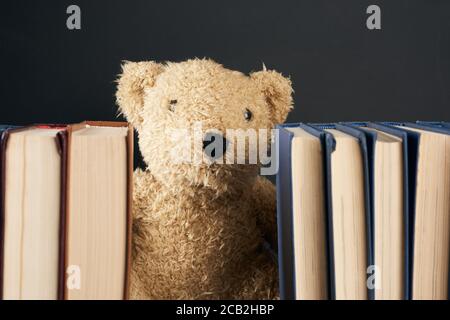 orsacchiotto di teddy che si stende da dietro una pila di libri, sfondo nero, ritorno a scuola, primo piano Foto Stock