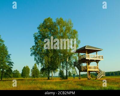 Torre di osservazione in legno vicino alla foresta primordiale di Bialowieza (Polonia) Foto Stock