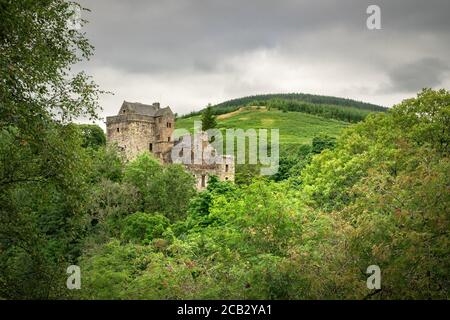 Visita Dollar Glen e Castello Campbell, estate con un sacco di alberi verdi. Foto Stock