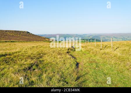 Accanto a uno stretto sentiero alto nella campagna del Derbyshire sotto la vista sorpresa in una mattinata d'estate luminosa e nebbiosa Foto Stock