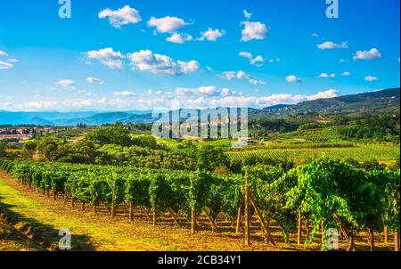 Vinci, vigneti sangiovese e villaggio sullo sfondo. Zona di produzione del Chianti, Firenze, Toscana Italia Europa. Foto Stock