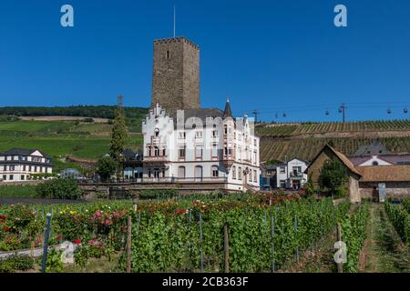 Boosenburg, torre del castello con villa a Rüdesheim am Rhein, città vinicola in Assia, Germania Foto Stock