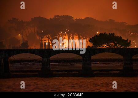 Arson foresta di Chiberta il 2020 luglio 30. L'arson ha devastato 165 ettari di foresta e bruciato 11 case nel cuore di Anglet. Wildfire. Blaze. Foto Stock