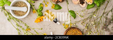 colpo panoramico di erbe, foglie verdi, mortaio con pestello su fondo di cemento, concetto di naturopatia Foto Stock