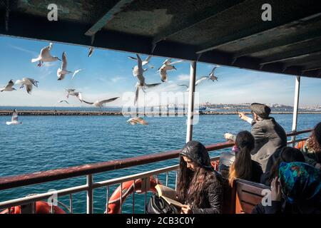 Nutrire gabbiani sull'Eminonu per il traghetto passeggeri di Kadikoy, Istanbul, Turchia. Foto Stock