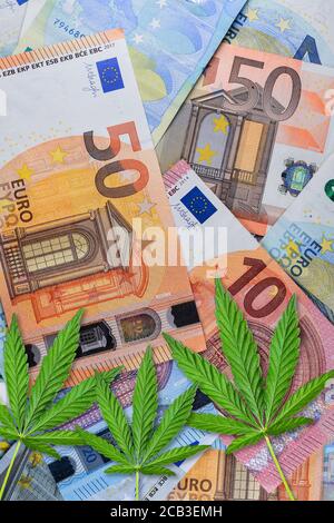 Primo piano di Marijuana sul denaro. La cannabis o le foglie di canapa su un fondo monetario in euro. Disposizione piatta. Template o mock-up. Foto Stock