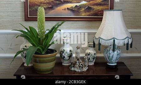 Eucomis in vaso su libreria Foto Stock