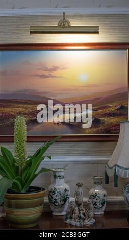 Eucomis in vaso su libreria Foto Stock
