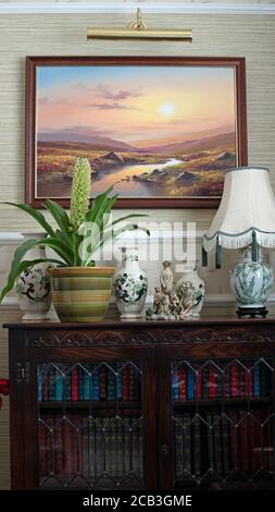 Eucomis in vaso su libreria Foto Stock