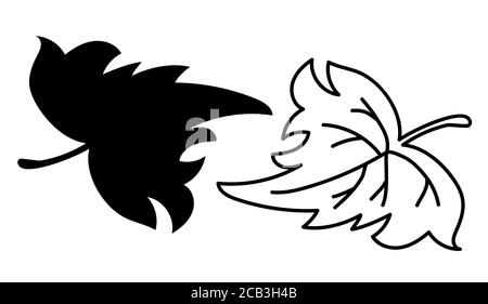 Botanica. Disegno vettoriale di una grande foglia di un albero. Contorno e linea neri. Elemento per design e decorazioni, logo. Vettore, mano doodl. Isolato su bianco Illustrazione Vettoriale