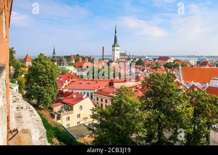 Vista pomeridiana sulla città medievale fortificata di Tallinn Estonia in una giornata estiva nella regione baltica del Nord Europa. Foto Stock